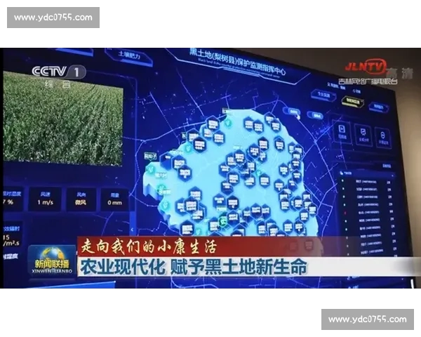 五大联赛高清直播全景解析实时赛况与精彩瞬间尽在掌握